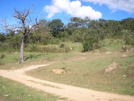 Vistoria Quintas dos Lagos 010