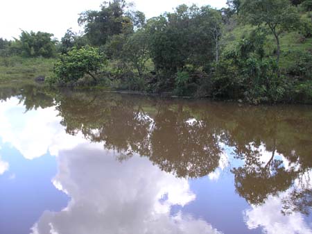 Represa da Copasa 004