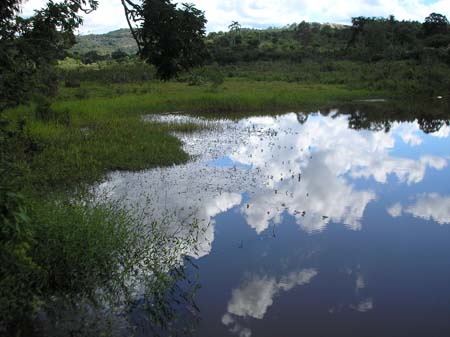 Represa da Copasa 005