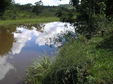 Represa da Copasa 012