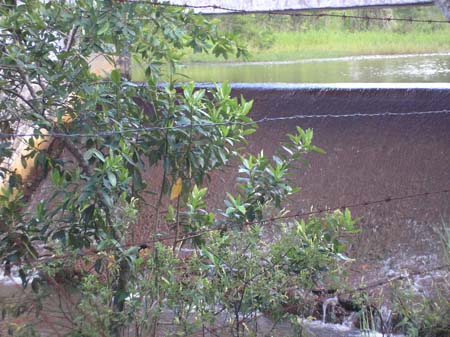 Represa da Copasa 015