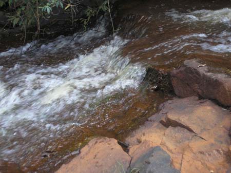 Represa da Copasa 016