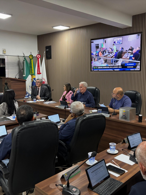Retirada de palmeiras no Residencial Dona Quita gera discussões na Câmara durante convocação de Secretária do Meio Ambiente