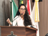 CDL presta contas na Câmara e pede apoio para palestra sobre inclusão em Cláudio