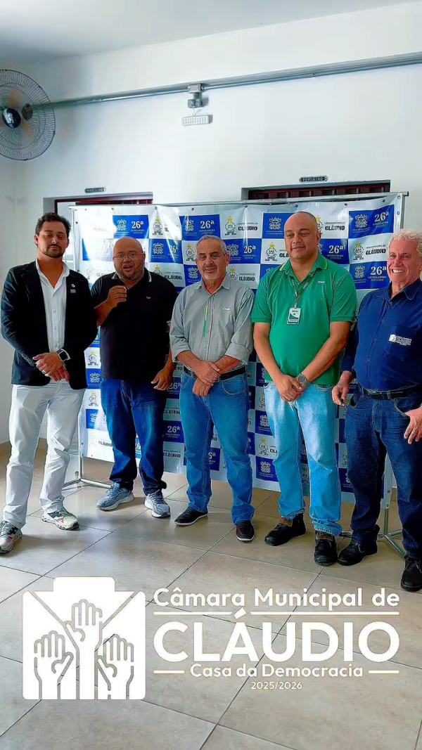 Vereadores cobram soluções da Cemig para “piques” e quedas de energia no município