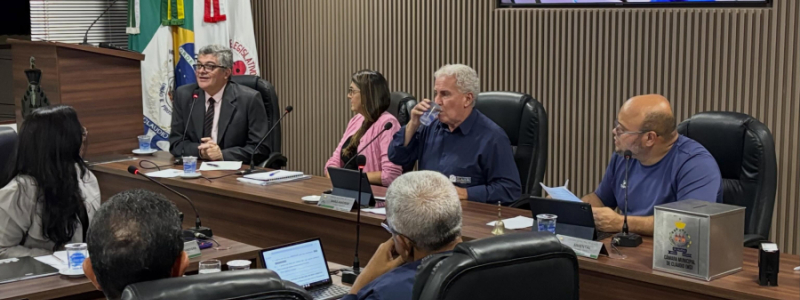 Retirada de palmeiras no Residencial Dona Quita gera discussões na Câmara durante convocação de Secretária do Meio Ambiente